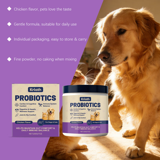 Pet Probiotic Powder for Intestinal Health